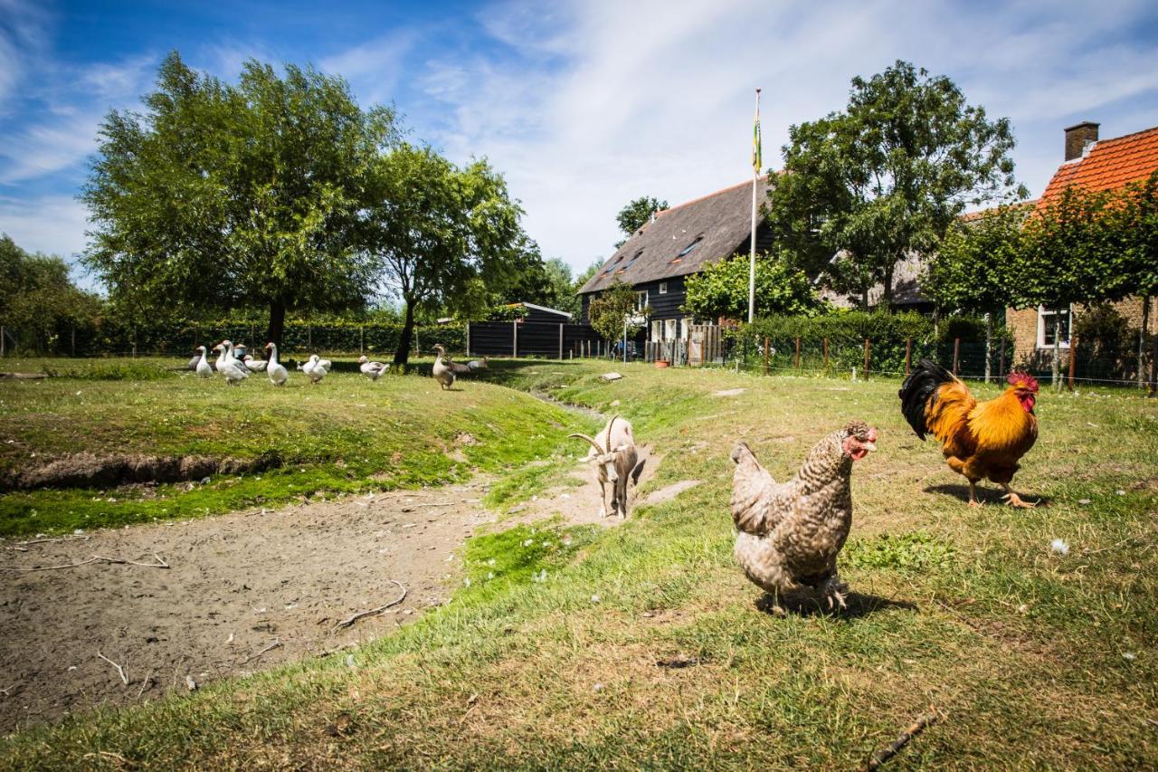 Welcome In - Oranjezon - Vakantiehuizen 2 & 4 Personen Vrouwenpolder Εξωτερικό φωτογραφία